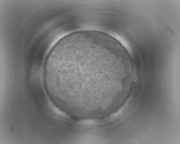 X0000115041094200911231128