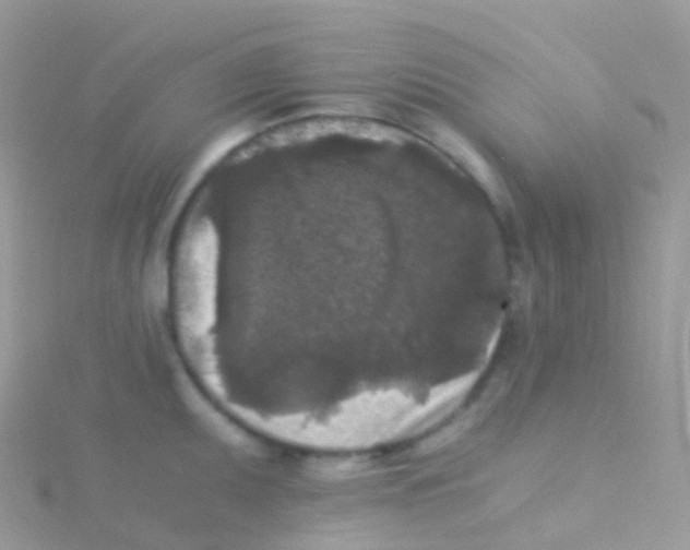 X0000115041095200911231128