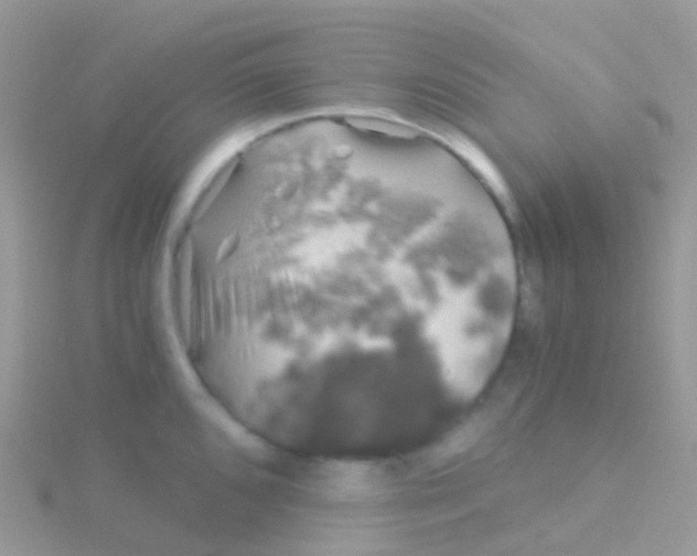 X0000115041096200911231128