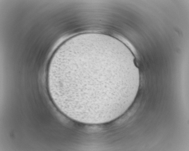 X0000115041099200911231127