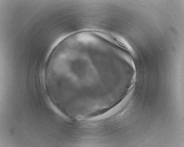 X0000115041100200911231127