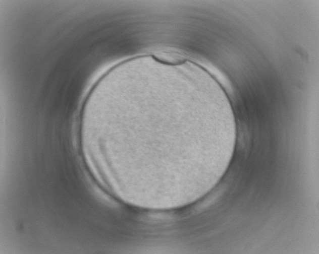 X0000115041102200911231127