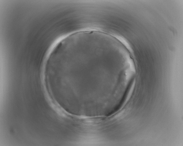 X0000115041104200911231127