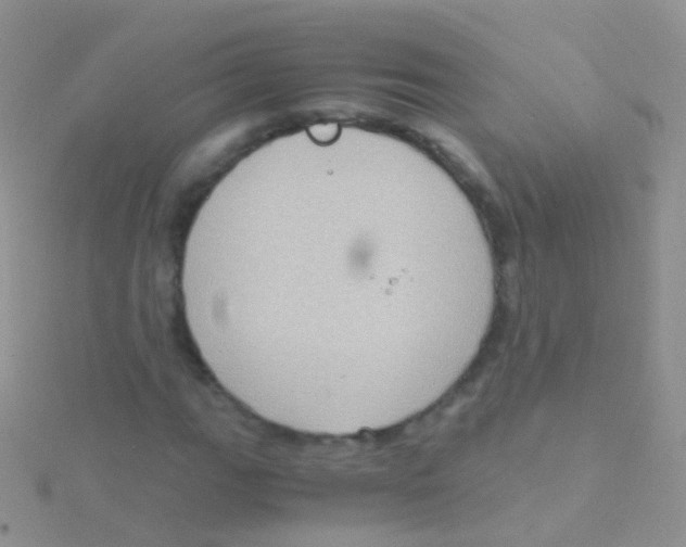 X0000115041111200911231127