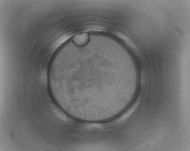 X0000115041113200911231127