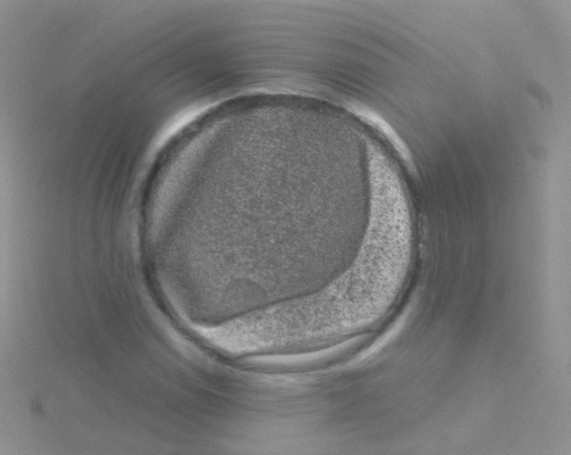 X0000115041114200911231127