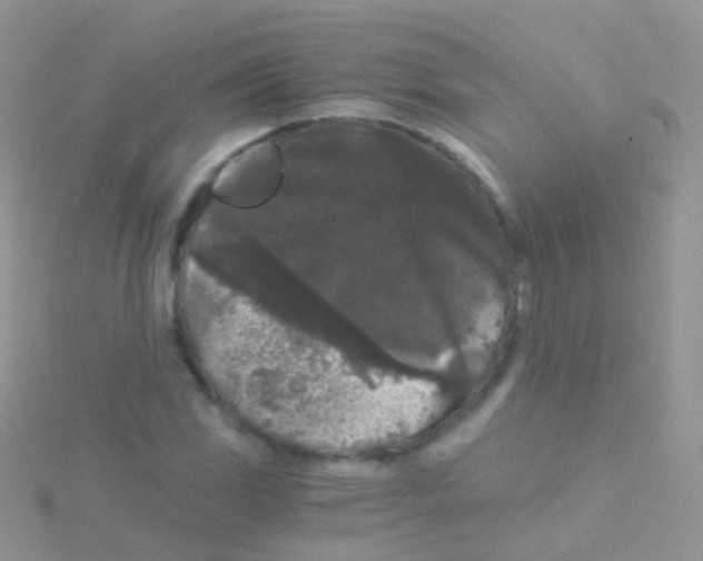 X0000115041117200911231127