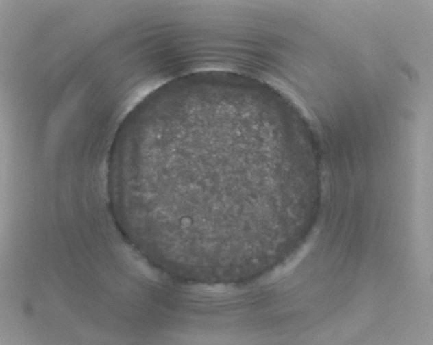 X0000115041121200911231127