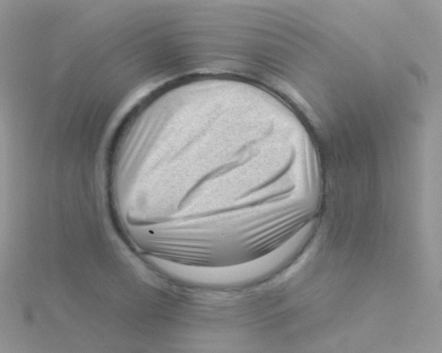 X0000115041122200911231127