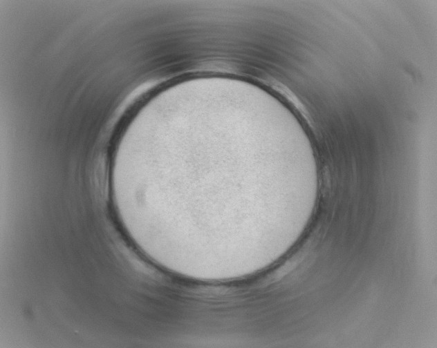 X0000115041123200911231127