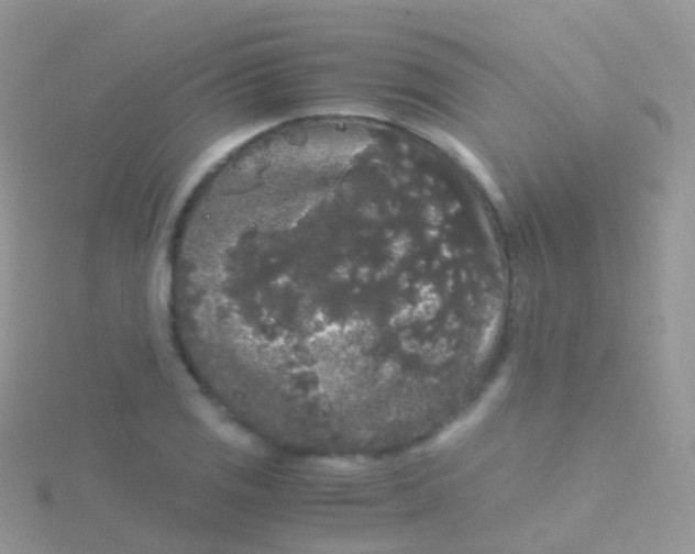 X0000115041125200911231127