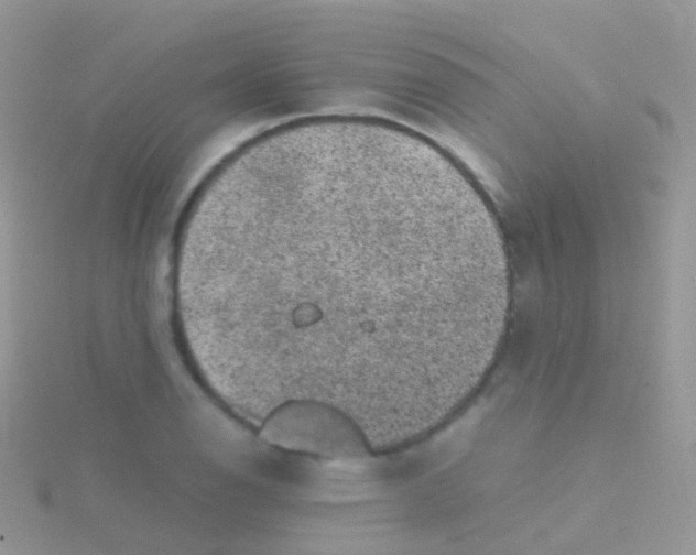 X0000115041126200911231127