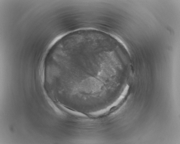 X0000115041127200911231127