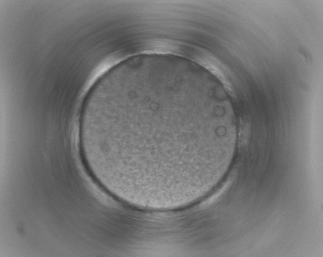 X0000115041130200911231127