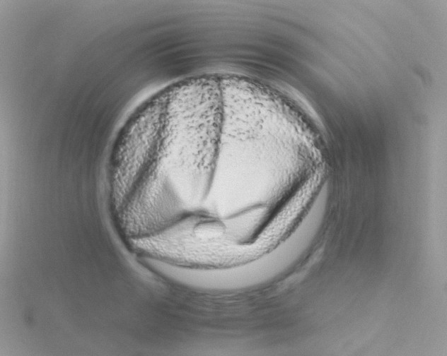 X0000115041133200911231127