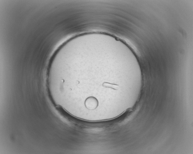 X0000115041134200911231127