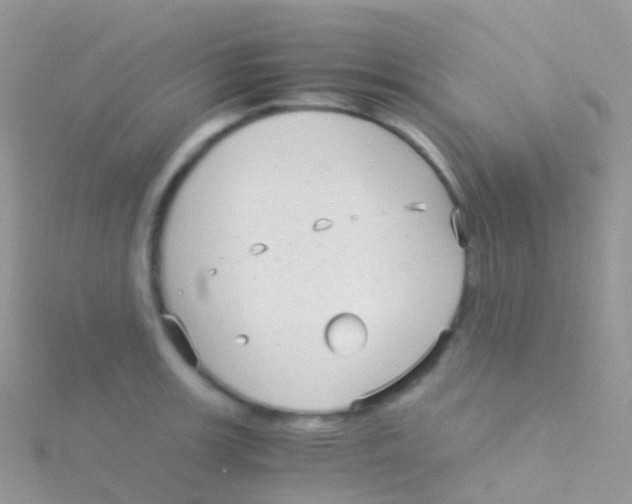 X0000115041139200911231127