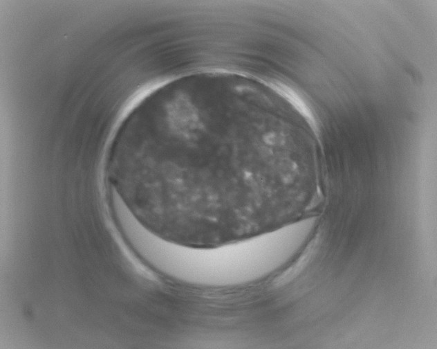 X0000115041141200911231127