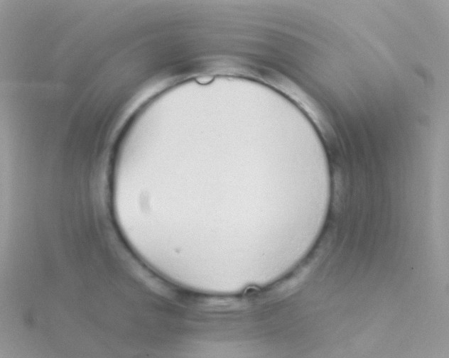 X0000115041142200911231127