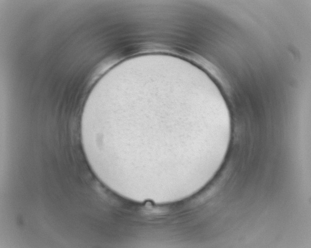 X0000115041145200911231127