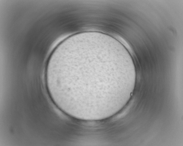 X0000115041149200911231127