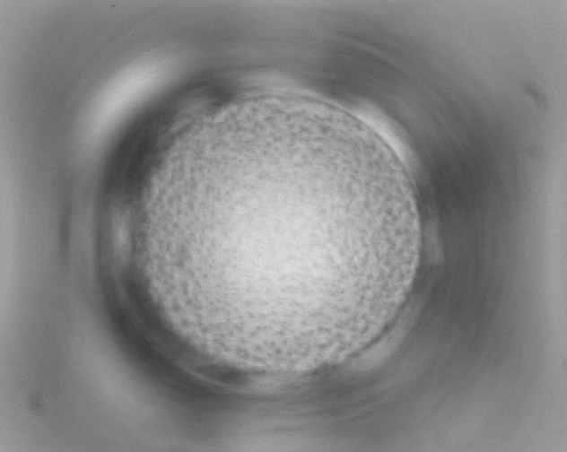 X0000115041150200911231127