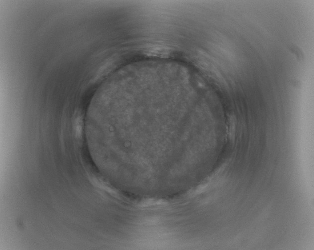 X0000115041154200911231127