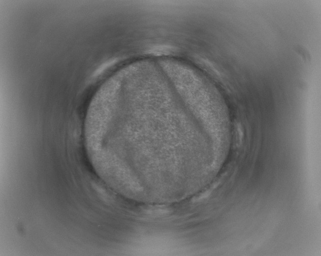 X0000115041158200911231127