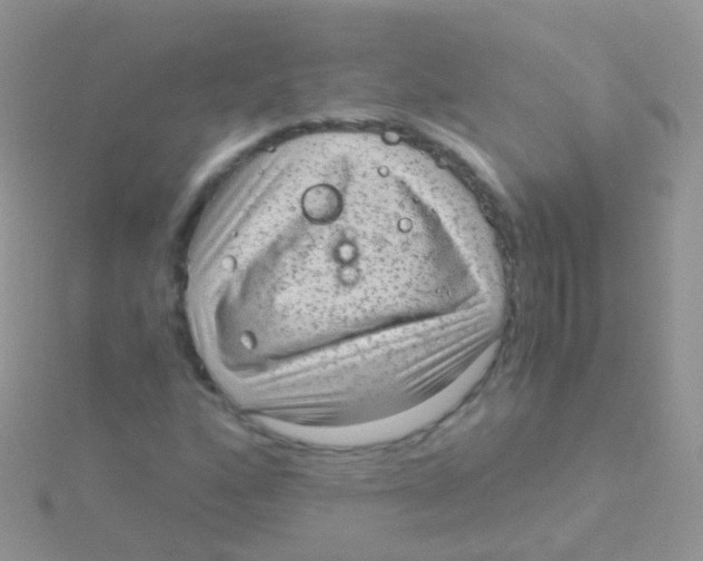 X0000115041160200911231127