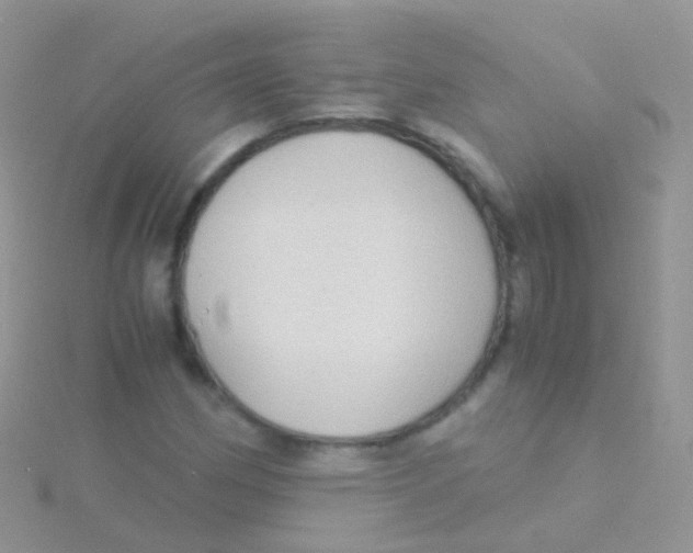 X0000115041162200911231127