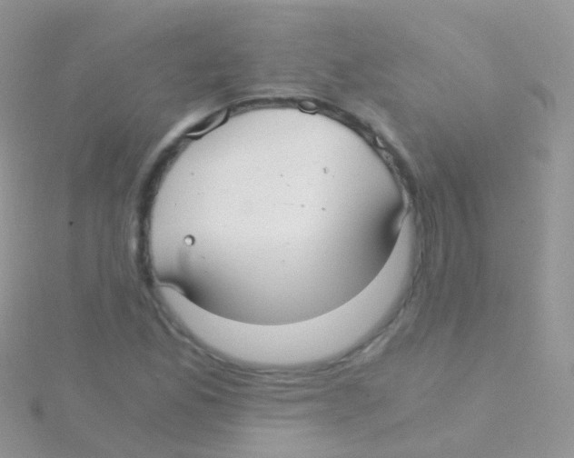 X0000115041165200911231127