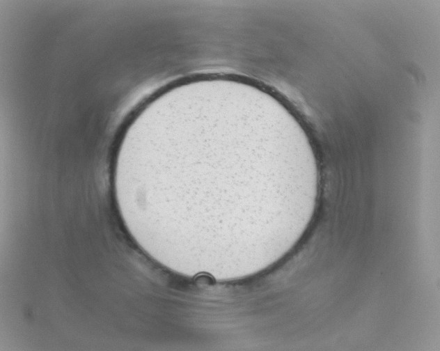 X0000115041167200911231127