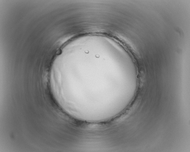 X0000115041169200911231127