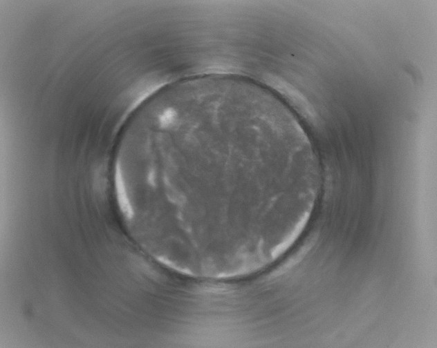 X0000115041170200911231127