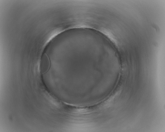 X0000115041173200911231127