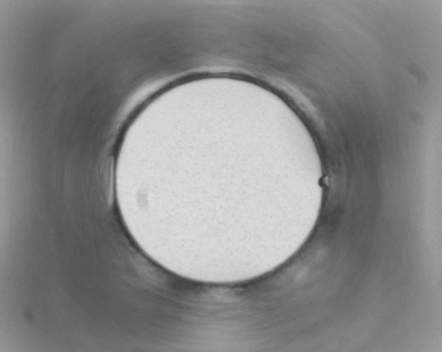 X0000115041175200911231126