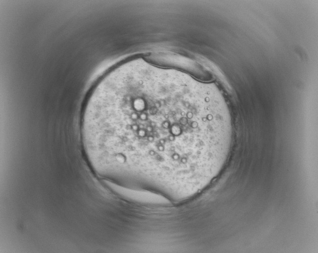 X0000115041176200911231126