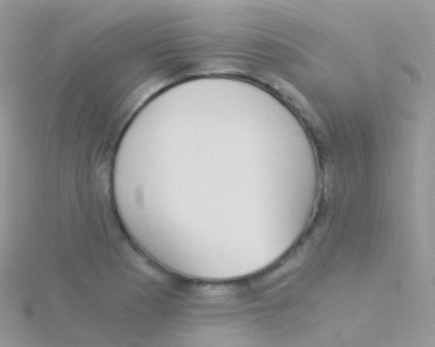 X0000115041177200911231126