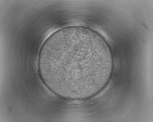 X0000115041178200911231126