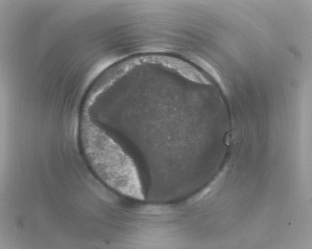 X0000115041179200911231126