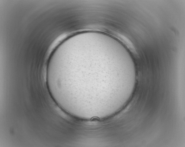 X0000115041180200911231126