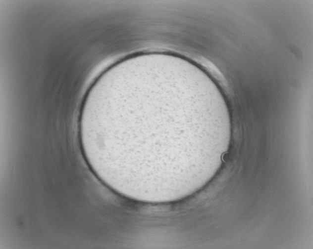 X0000115041183200911231126