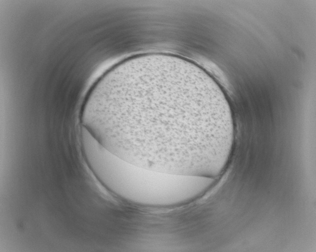 X0000115041184200911231126