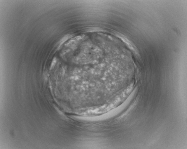 X0000115041185200911231126