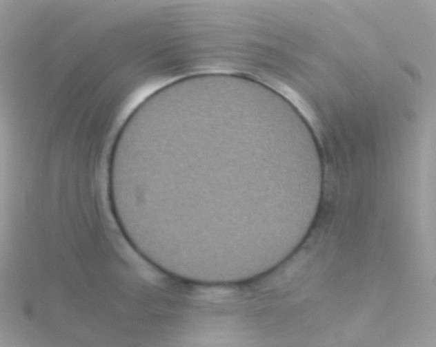 X0000115041187200911231126