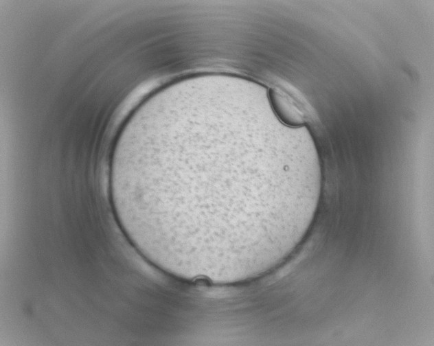 X0000115041188200911231126