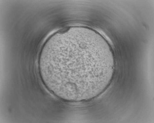 X0000115041189200911231126