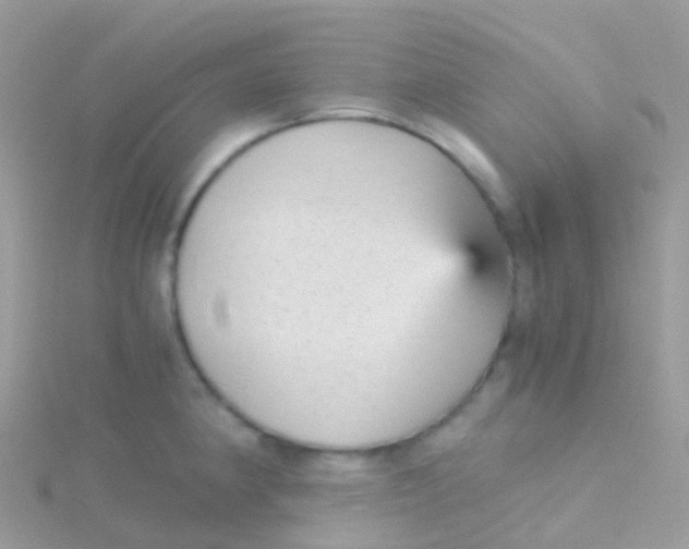 X0000115041190200911231126