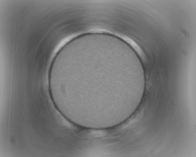 X0000115041191200911231126