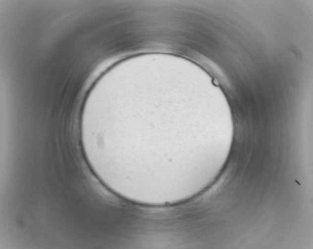 X0000115041192200911231126